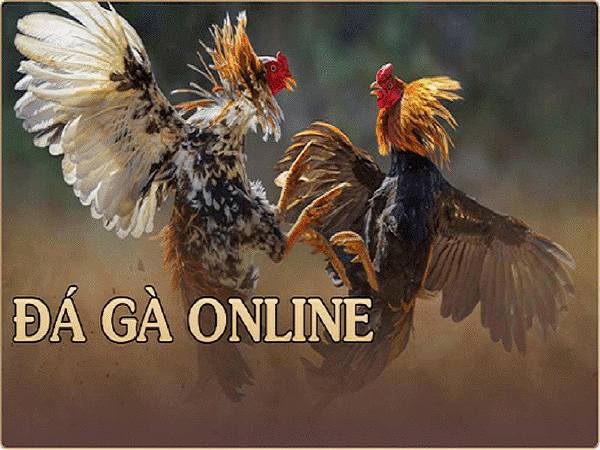 Tìm hiểu đá gà online